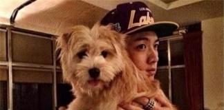 柯震东未上课挑养宠物遭批 网友：去看狗也不上课