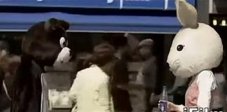 韩国学生作业短片《兔子们和熊们》