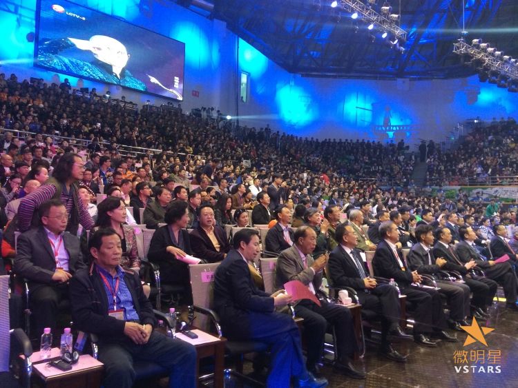 微明星网 亚洲国际微电影节 金海棠