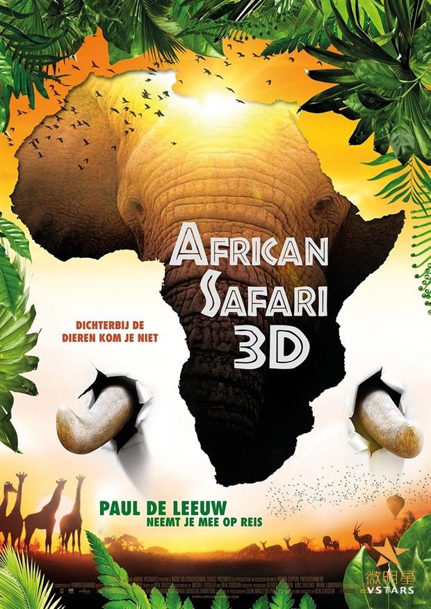 纪录片 狂野非洲