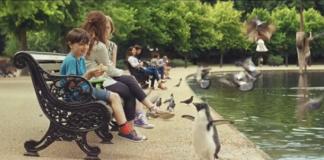 英国暖心萌系圣诞广告《企鹅蒙蒂》