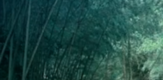 最美旅游微电影-《十九峰之恋》