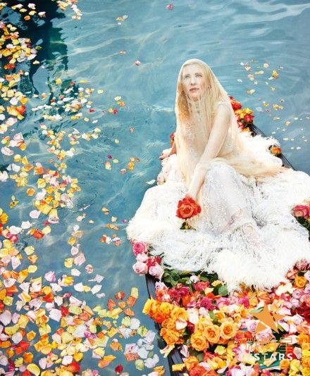 凯特·布兰切特 霍比特人 奥斯卡