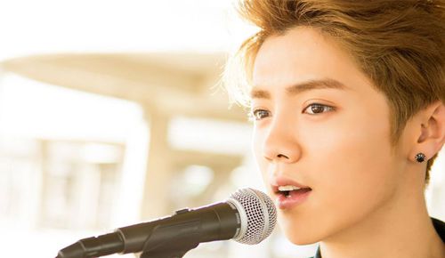 鹿晗 电影 主题曲 