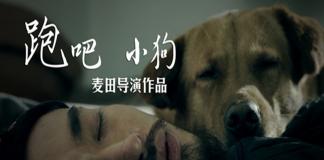 公益微电影 《跑吧小狗》