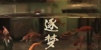 追梦微电影 《逐梦》