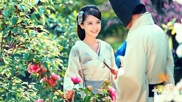 电视剧 撤档 云中歌 风筝 美丽背后