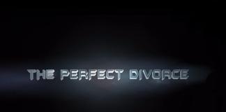 未来的法律 《完美离婚法》