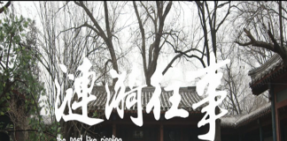 一段涟漪往事，两份人生感动-《涟漪往事》