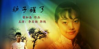 一个支持国货的微电影 《驴子醒了》