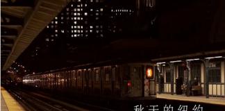 蜕变2014《秋天的纽约》丁敏作品