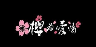 空白的记忆谁来填补 《樱为爱情2》