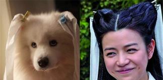 李莫愁微博暗讽小龙女？网友曲解还是张馨予有意诋毁？