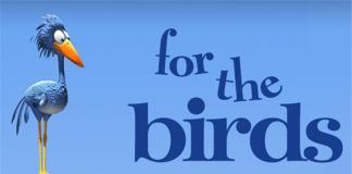 奥斯卡金像奖 最佳动画短片《鸟!鸟!鸟! For The Birds 》