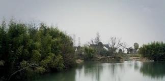 帮助狗狗找主人 《薯条》