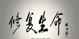 用亲情用爱给你一个新的人生 《修复生命》