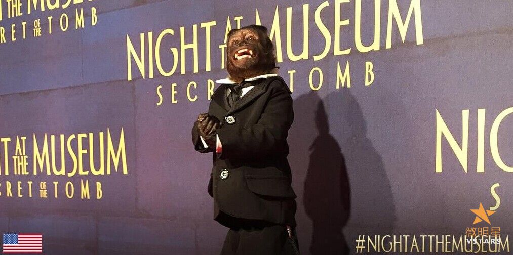 博物馆奇妙夜3 首映 本斯蒂勒 丹史蒂文斯 红毯