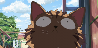 喵星人的复仇即将开始《猫的集会》