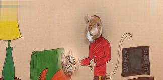 主人费心了 《喵星人搞笑微电影》