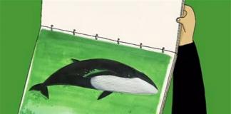 时间缓慢流逝的世界-《鲸的鱼跃》