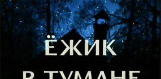 迷雾中的探险-《迷雾中的小刺猬》