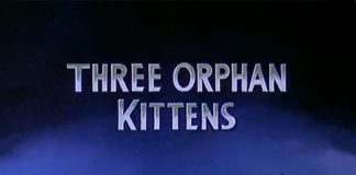 妙趣横生的冒险-《三只小孤儿猫》