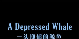 美式无厘头动画-《一头抑郁的鲸鱼/A Depressed Whale》