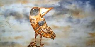 两条蚯蚓的悲喜虫生-《世界的另一端》