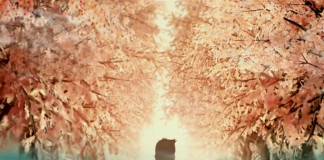 台湾的乡土文化-《樱时》