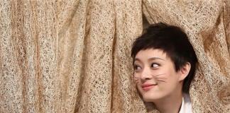 众明星参演爱护动物公益片 《你怎么舍得伤害我》