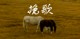 马的哀歌-《挽歌/Elégia》