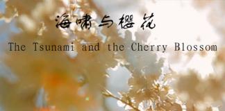 大自然的残酷-《樱花与海啸》