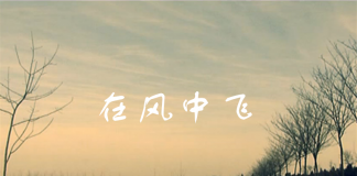 坚持的伟大-《在风中飞》