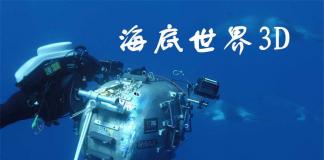 探索海底世界-《海底世界3D》