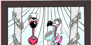 爱情使人盲目 《love is blind》