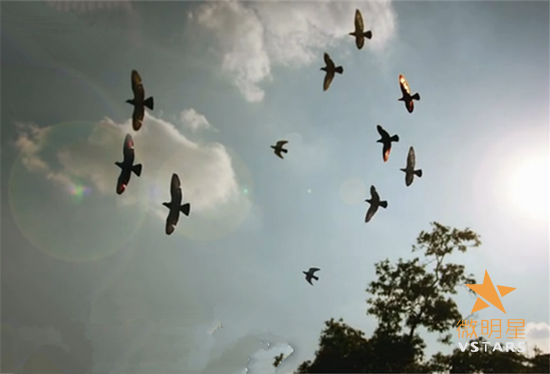 等一个故事 小清新 短片