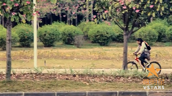 遇见 校园 风景