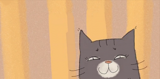 猫咪与小鸟 《the bird》