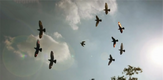 500张照片组成的微电影 《等一个故事》