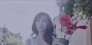 回忆的美好《转爱》