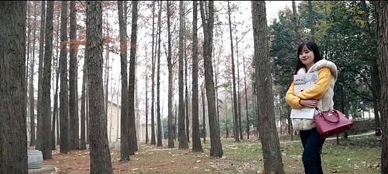 色彩 色盲 小清新 励志