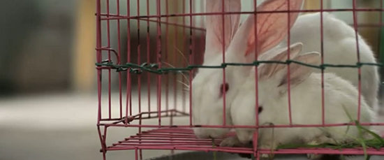 爱情 国语 剧情 1999