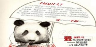 幸福是什么 《爱，在四川》熊猫篇
