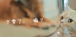 日食记《炸鸡和啤酒》