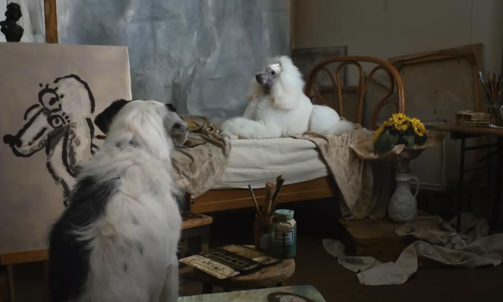 电视广告重要性,狗狗恋爱,心机狗,汪星人恋爱