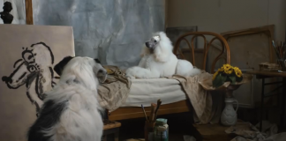 Thinkbox：心机旺 Harvey 的阴谋广告