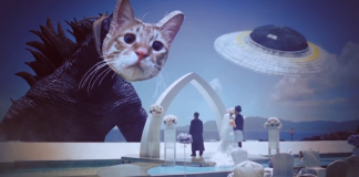 台湾气象局：无厘头微电影二步曲，花之秘