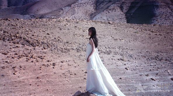 《Moments in Light》