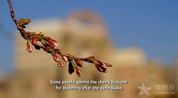 海啸于樱花 纪录片 短片