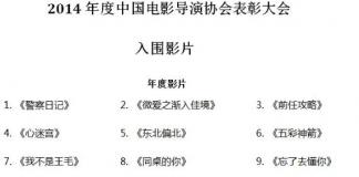 电影导演协会2014年度表彰大会入围名单引争议